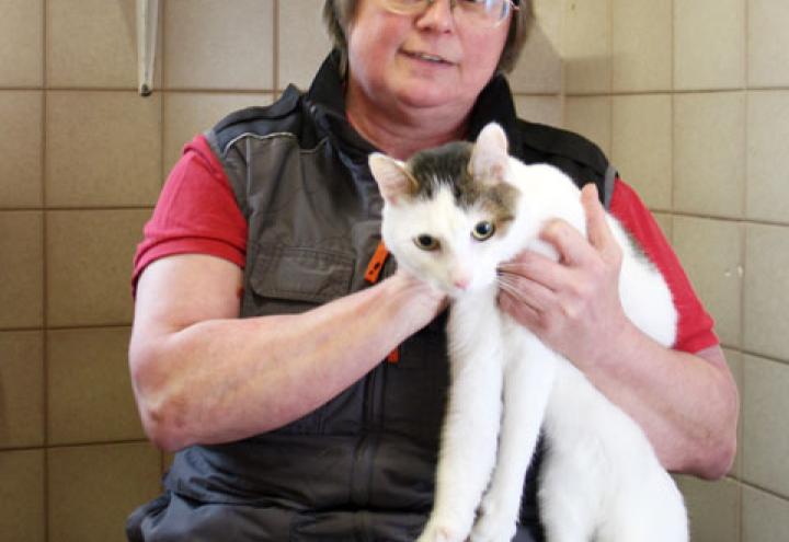 „Das Tierheim ist wie mein Kind“ 