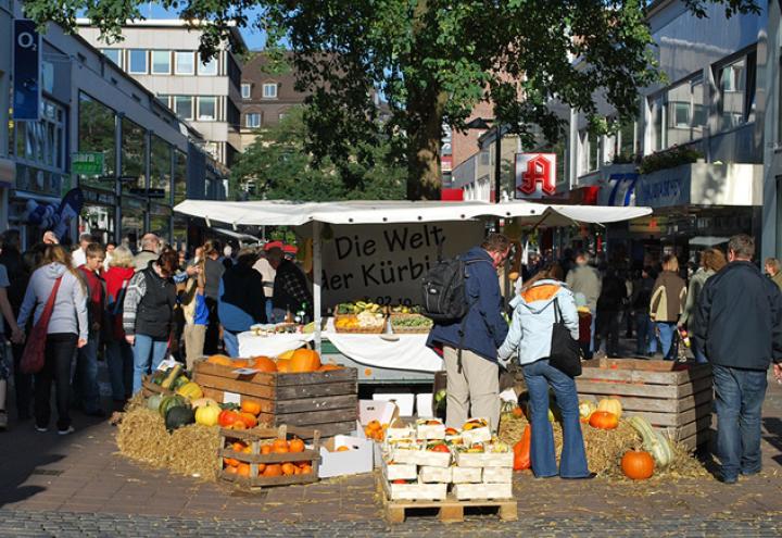 11. Kieler Bauern- und Regionalmarkt 