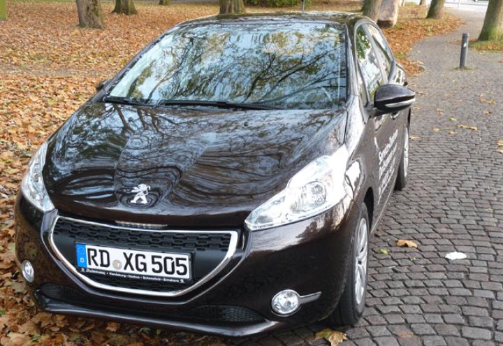 Der kleine Löwe startet neu durch 