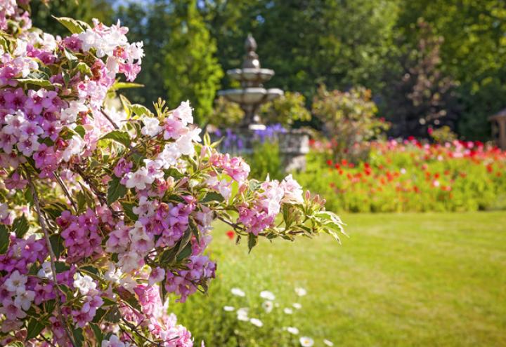 10 Tipps: So machen Sie Ihren Garten frühlingsfit 