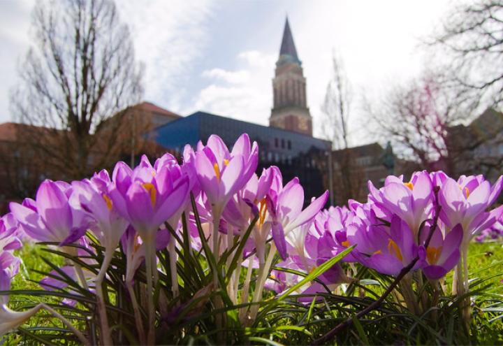 Fotowettbewerb: Kiel im Frühjahr 