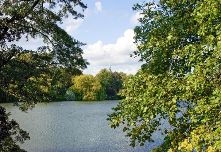 Schrevenpark Sommerfest 2013 