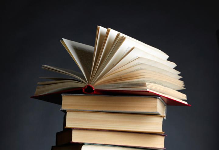 Die Buch-Tipps im Januar 