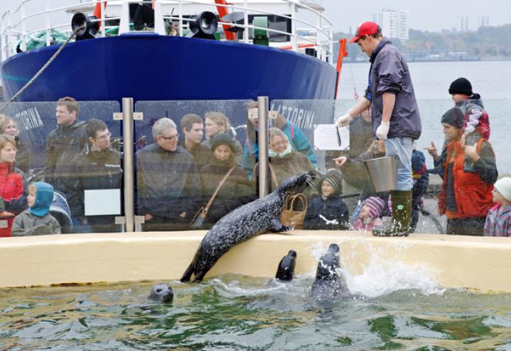 Am 20. Oktober ist museen am meer-Tag!  