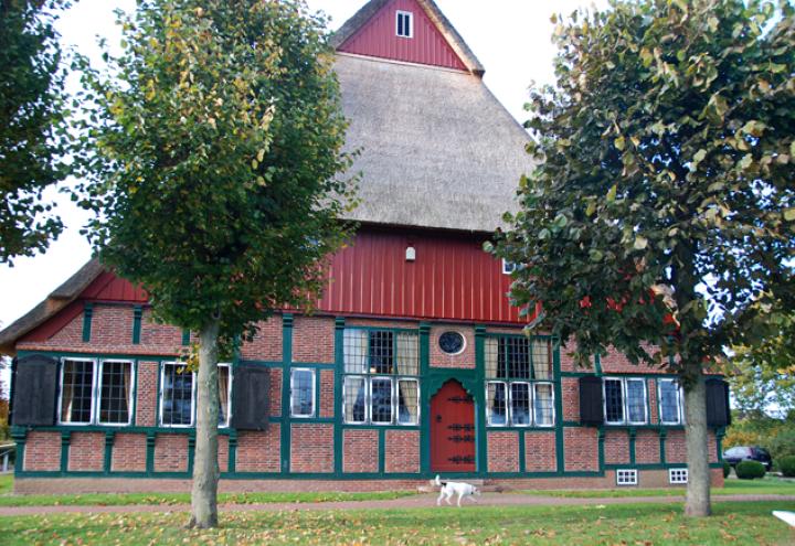 Dorfporträt Molfsee 