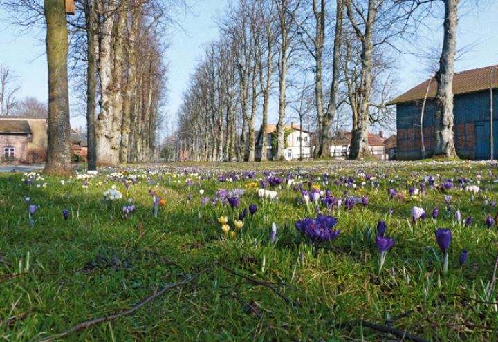 Lust aufs Land: Barsbek 