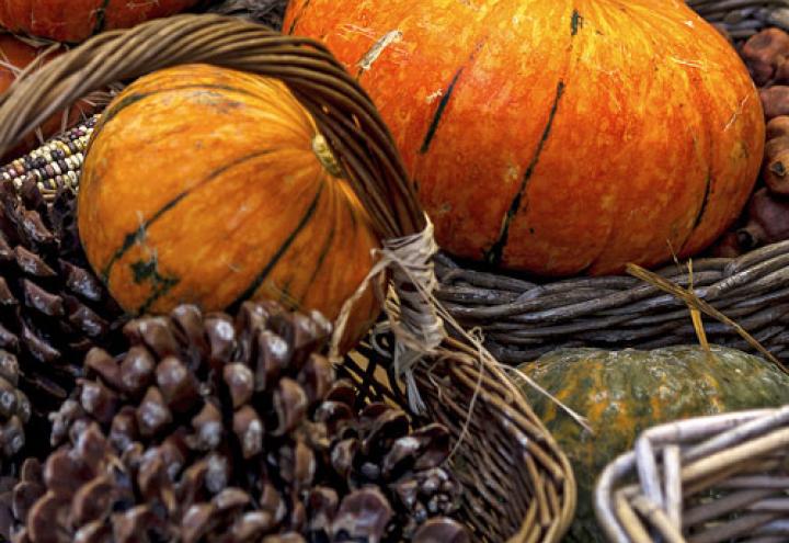 Herbstmärkte in und um Kiel 