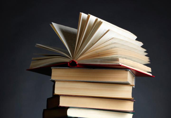Die Buch-Tipps im Dezember 