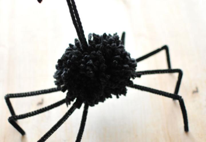 Kuschelige Krabbeltiere 