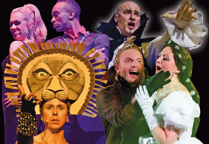 Die Nacht der Musicals 