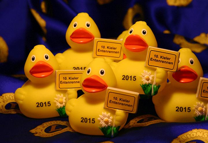 Enten ins Rennen schicken 