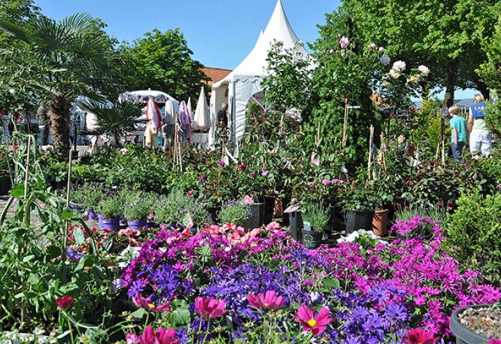 Willkommen auf der Ambienta auf Gut Sierhagen 