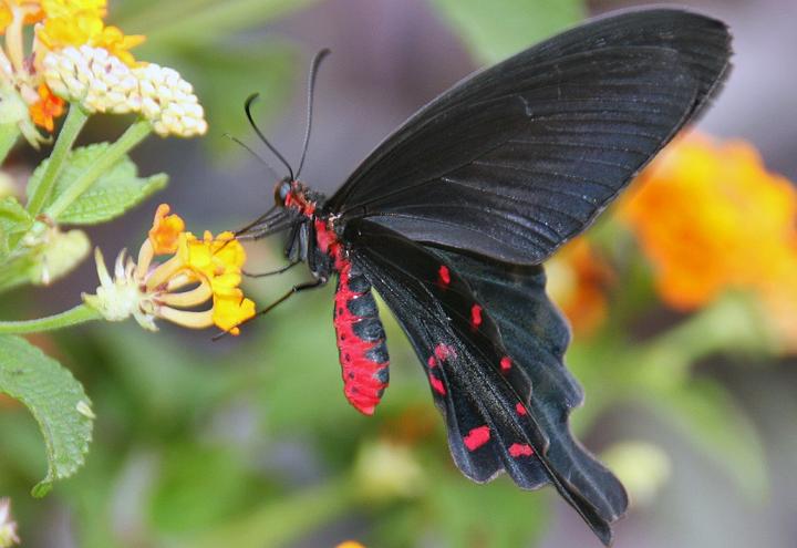 Sommer-Highlights im Tierpark Gettorf 