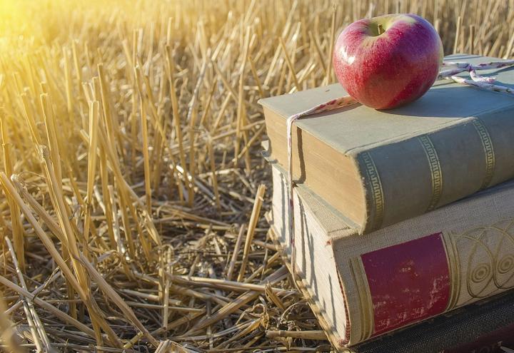 Die besten Buchtipps für den August 
