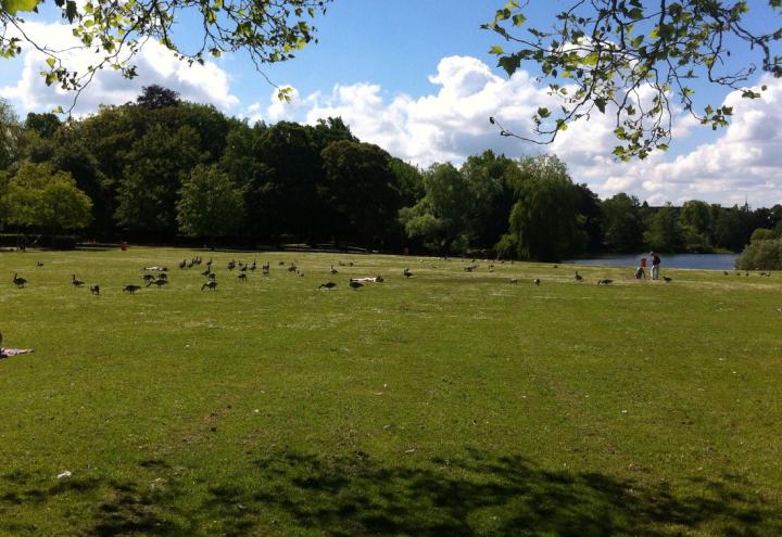 So schön ist die Kieler Stadtnatur 