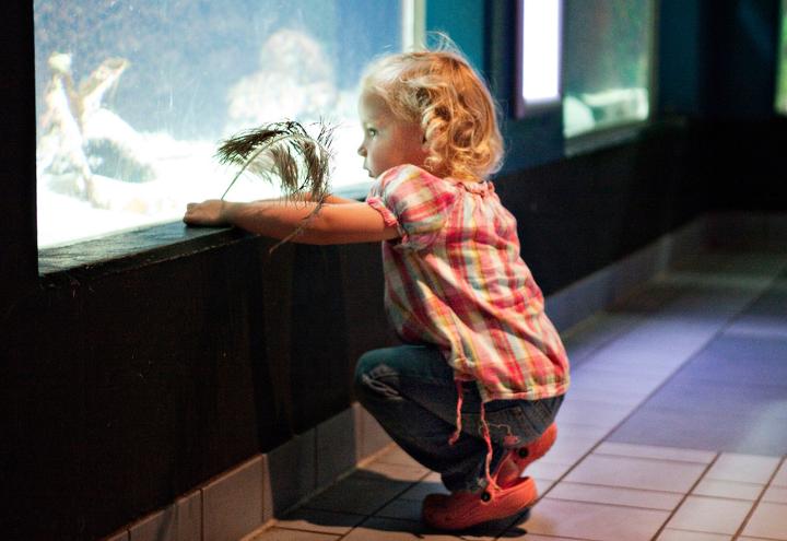 Spannende Aktionen im Aquarium GEOMAR 