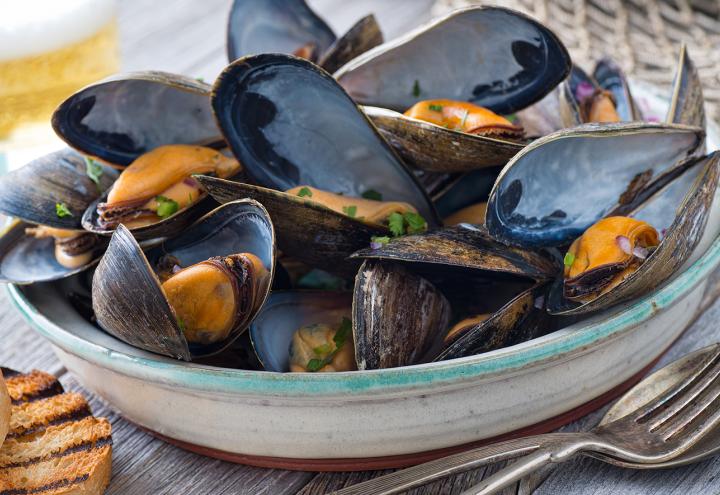 Köstlich schlemmen zur Muschelwoche 