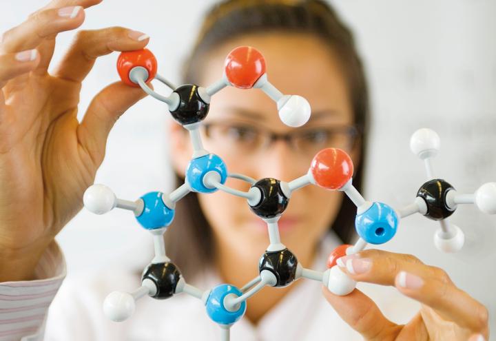 Wissenschaft zum Anfassen in der Holtenauer 
