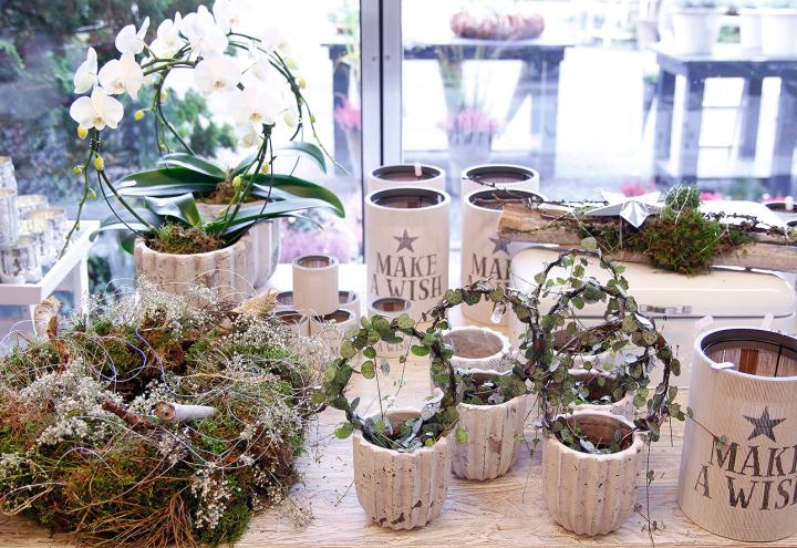 Schönes entdecken bei Blumen Pfeiffer 