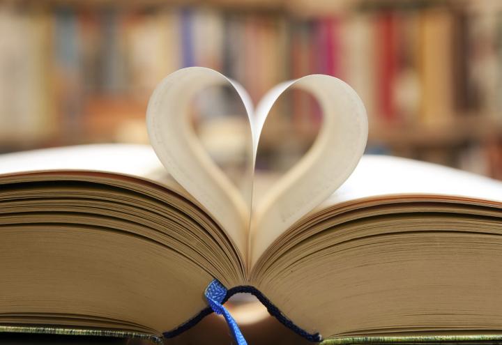Großer Bücherflohmarkt: perfekter Lesestoff für triste Herbsttage 