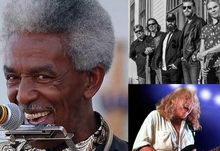 Kieler Blues Festival 