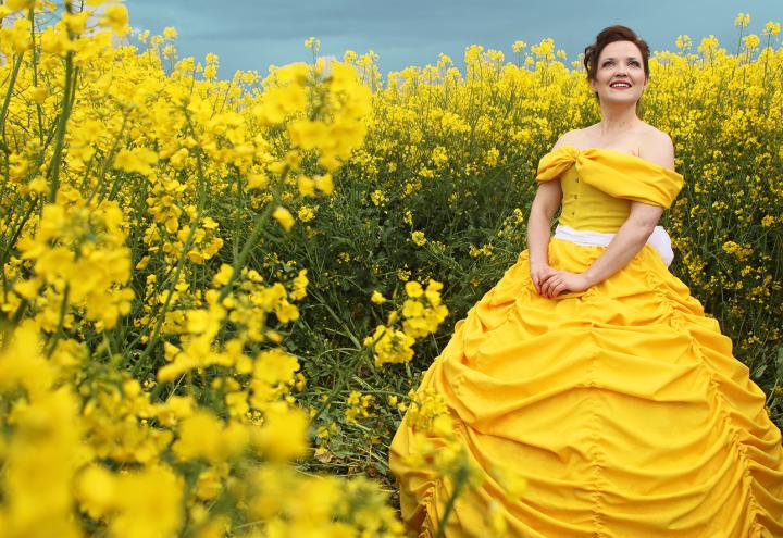 20. Filmfest Schleswig-Holstein 