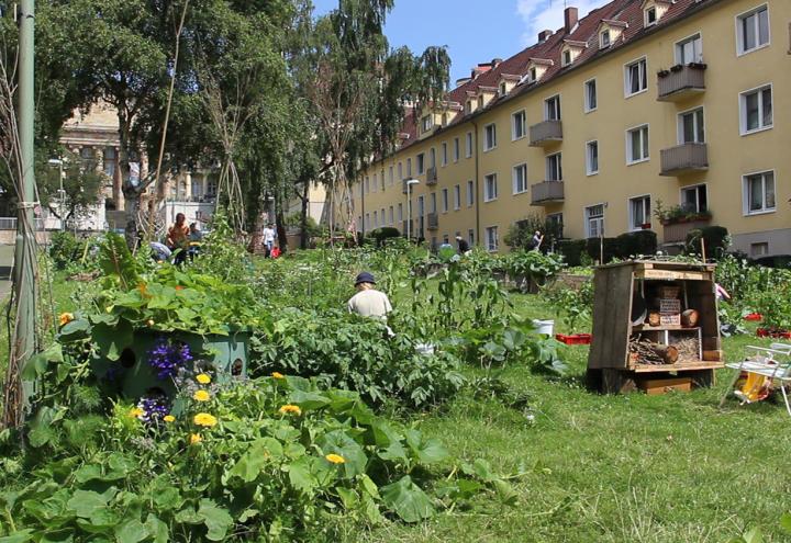 Studio Filmtheater zeigt das „Abenteuer Gärtnern“ in der Großstadt 