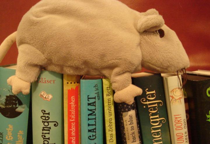 Junge Rezensenten präsentieren Lesetipps in der Buchhandlung Hugendubel 