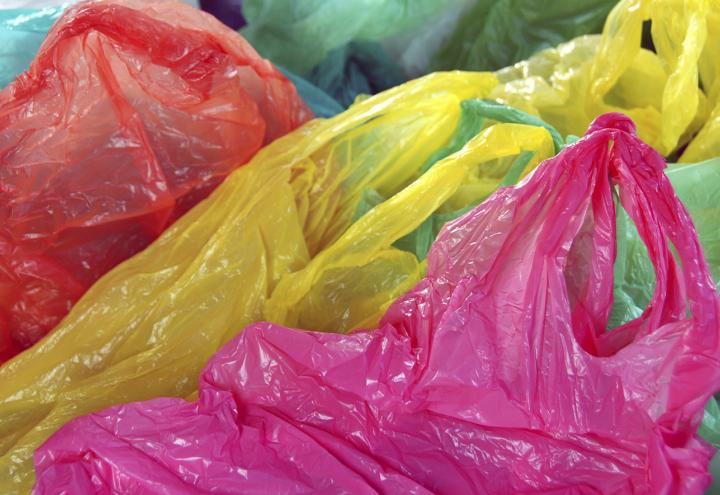 Start für die Kampagne „Plastiktütenfreies Kiel“ 