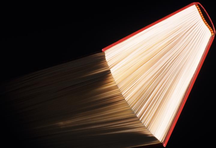 Mitreißende Lesungen im Literaturhaus S-H 