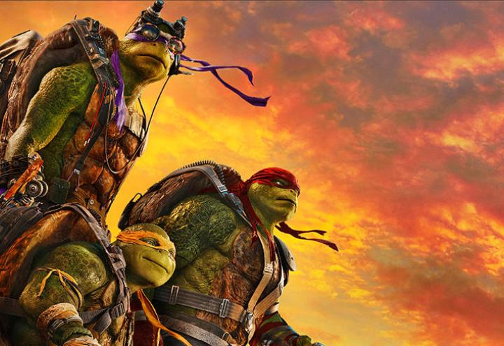 Die Turtles sind zurück!