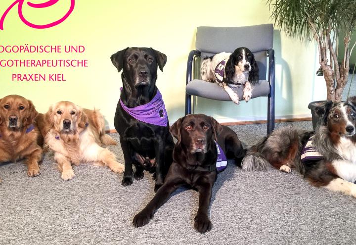 Der Therapeut mit der kalten Schnauze 