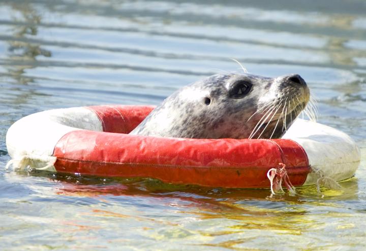 21 Aktivitäten für die Osterferien   