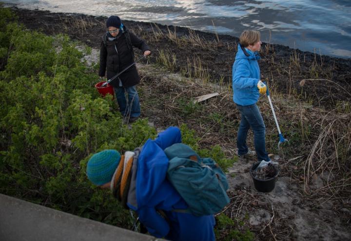 Müllsammeln für ein sauberes Kiel 