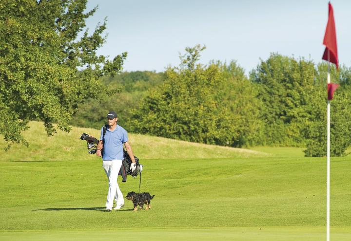 Golf-Club für Hund und Herrchen 