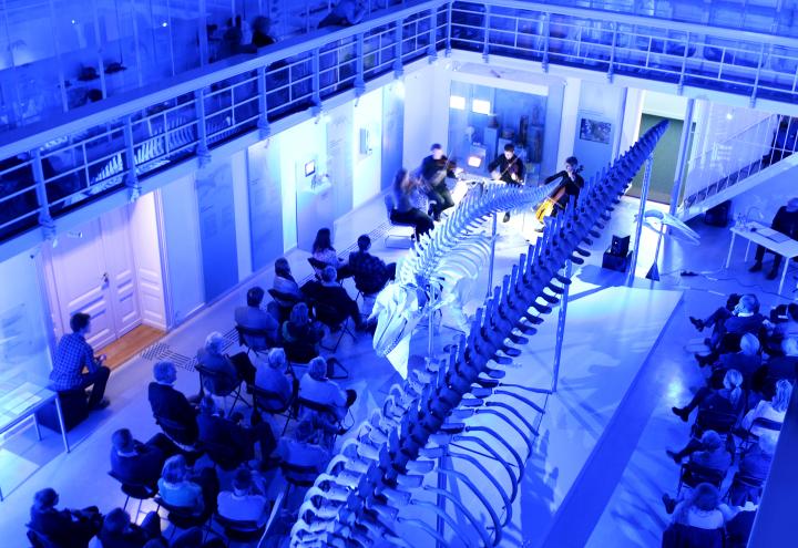 Nachtkonzert: Auf musikalischer Reise im Zoologischen Museum