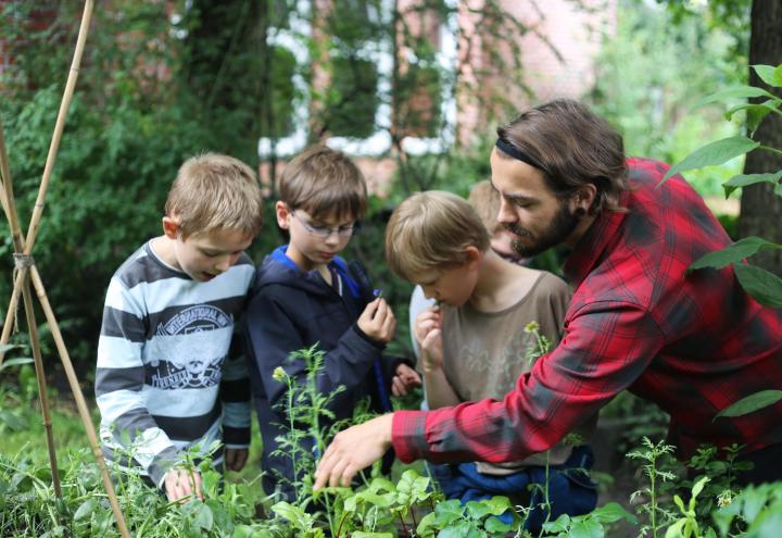 Tipps für den eigenen Garten 