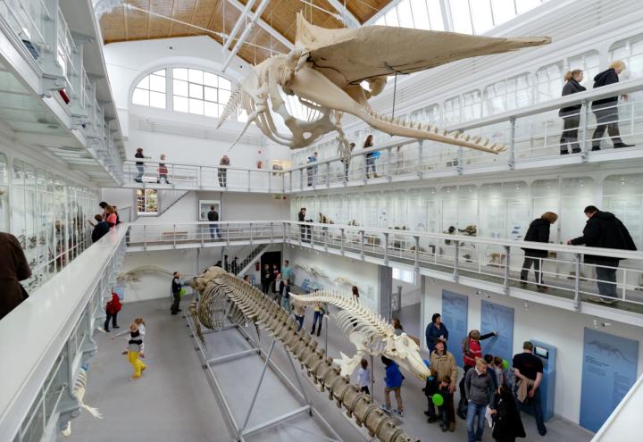 Museen am Meer 