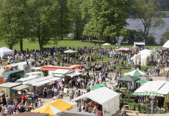 Ökomarkt unter freiem Himmel 