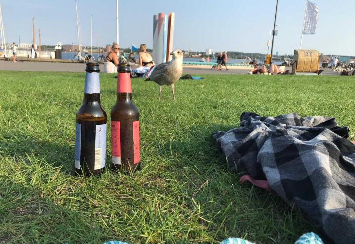 5 Dinge, die man nach Feierabend in Kiel macht 