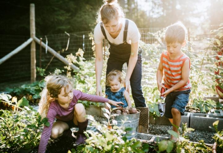 Diese Tipps sind wichtig bei der Gartenarbeit 