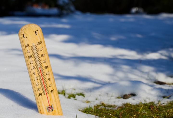 Verhageln Eisheilige den Frühling? 