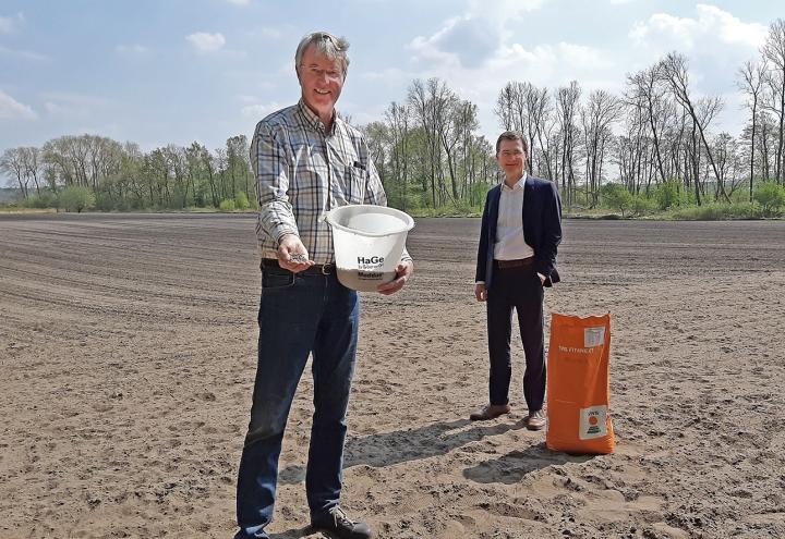 Ökostrom wahrt Bienen- und Insektenvielfalt 