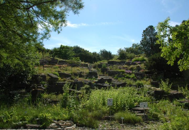 Botanischer Garten öffnet wieder