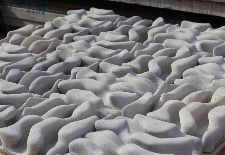 „Living Sea Walls“ - Greening the Kieler Förde! 