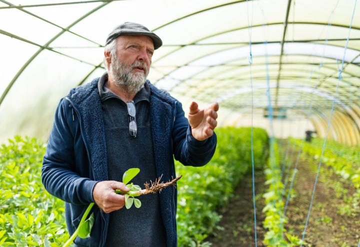 Solidarisch die Ernte teilen