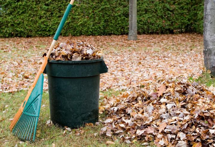 Gartenabfall kostenlos abgeben 