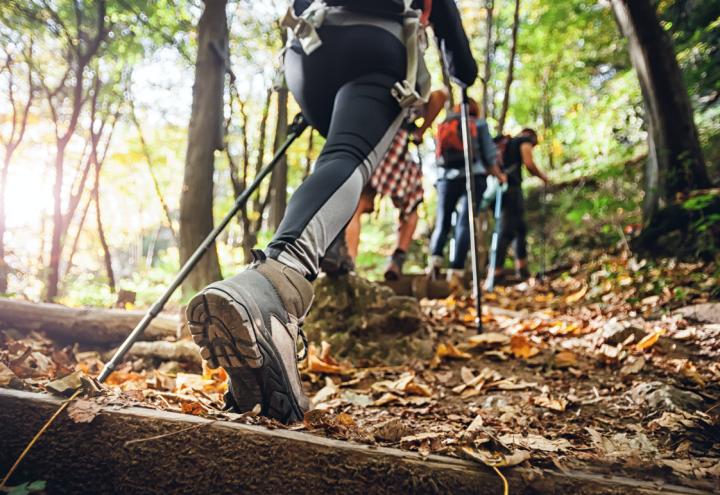 Wandern in Kiel und Umgebung