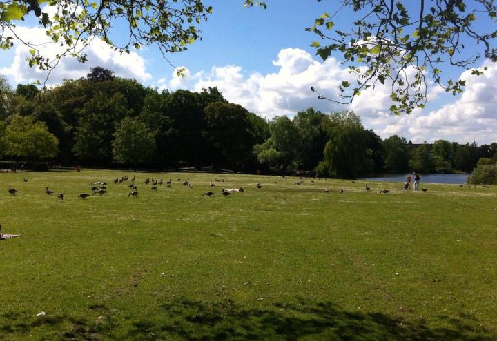 Rücksicht für ein gutes Miteinander im Schrevenpark