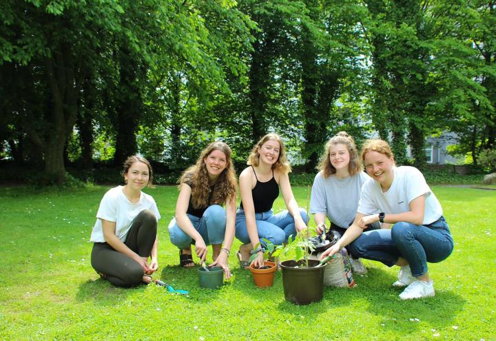 Gärtnern ohne eigenen Garten 